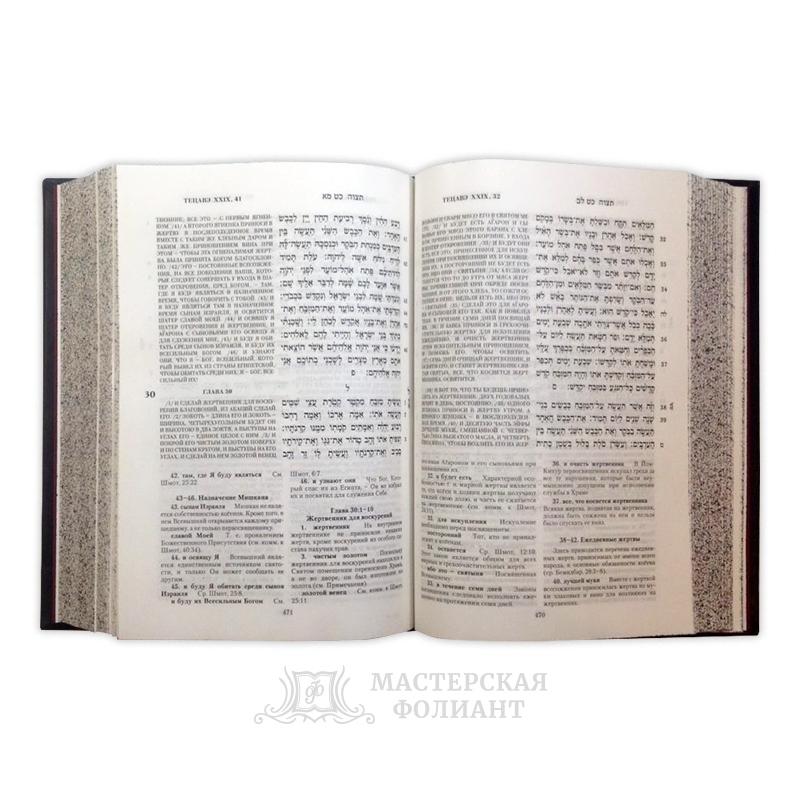Тора пятикнижие и гафтарот. Страницы